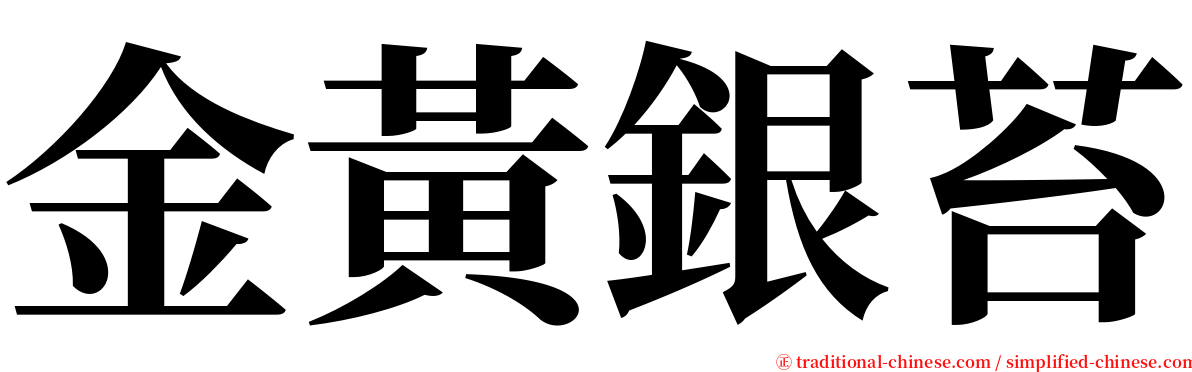 金黃銀苔 serif font