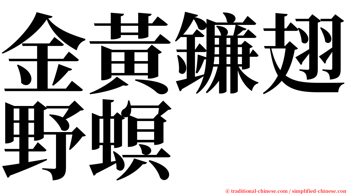 金黃鐮翅野螟 serif font