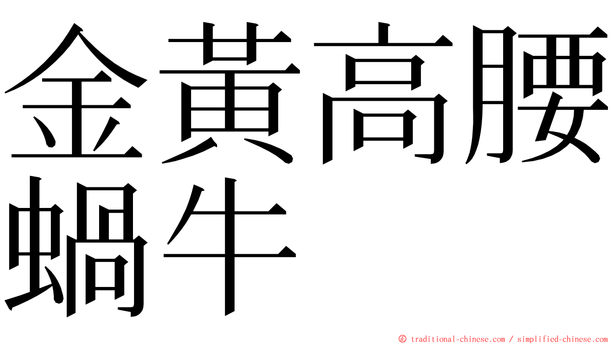 金黃高腰蝸牛 ming font