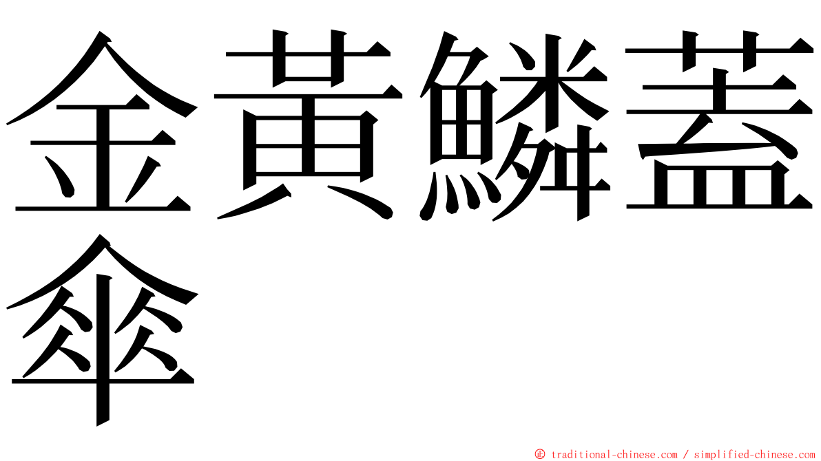 金黃鱗蓋傘 ming font