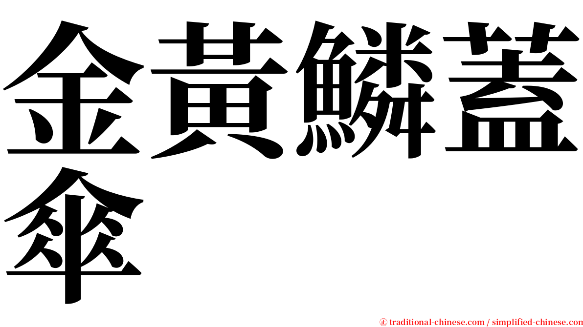 金黃鱗蓋傘 serif font