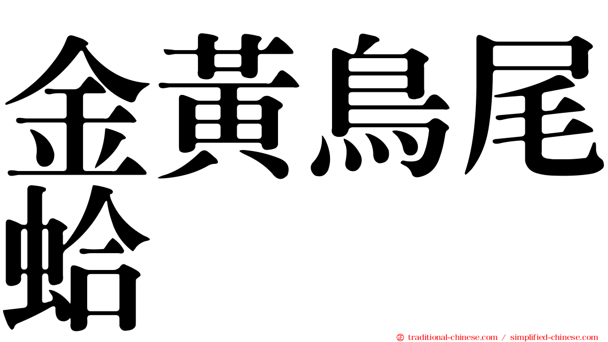 金黃鳥尾蛤