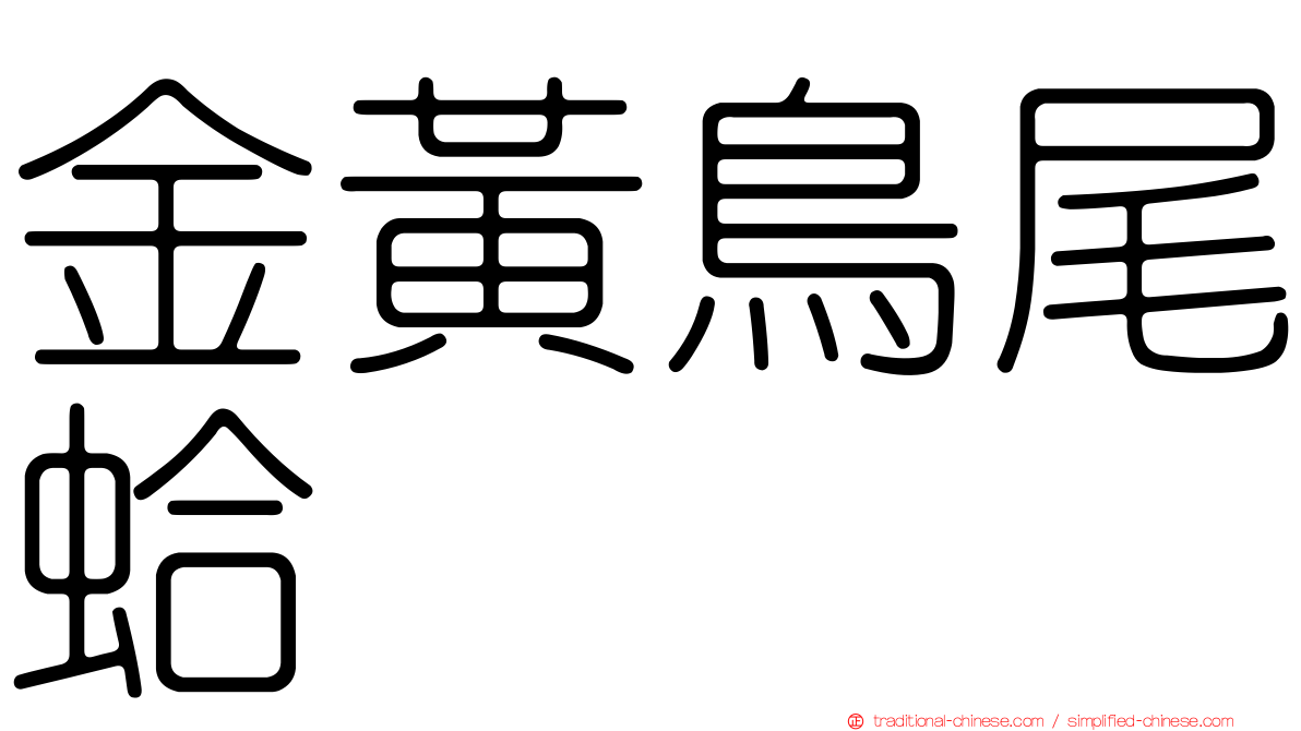 金黃鳥尾蛤