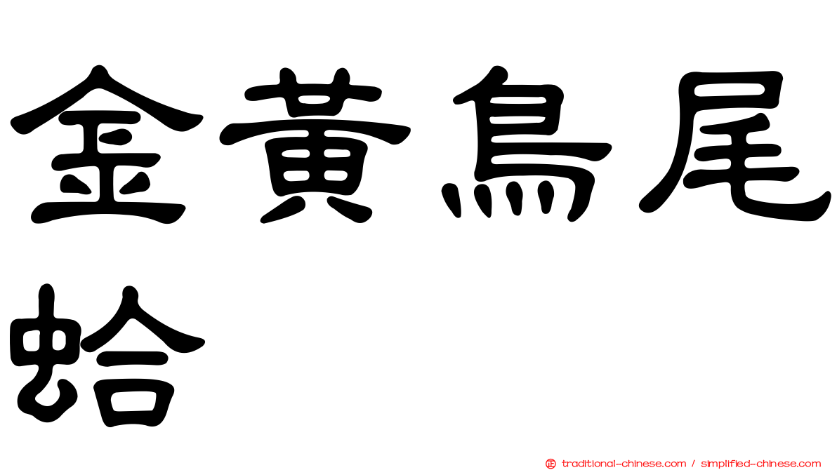 金黃鳥尾蛤