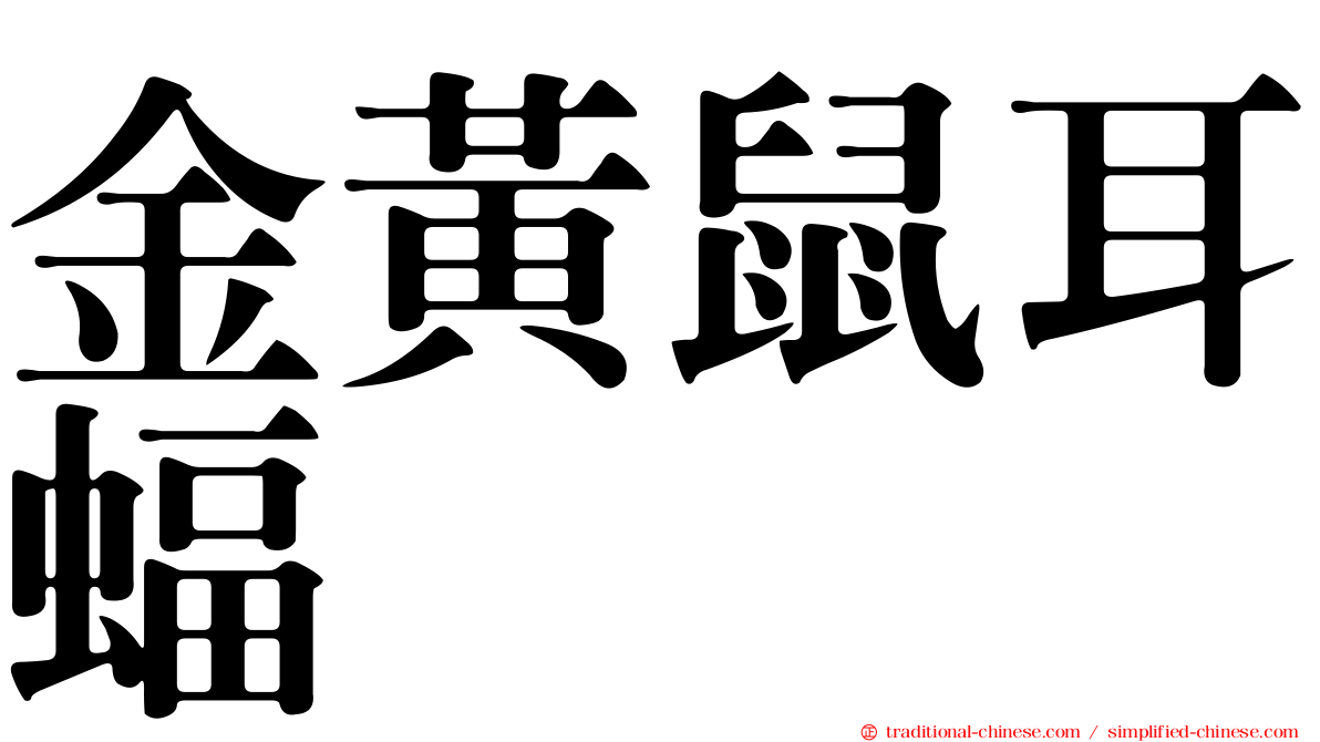 金黃鼠耳蝠
