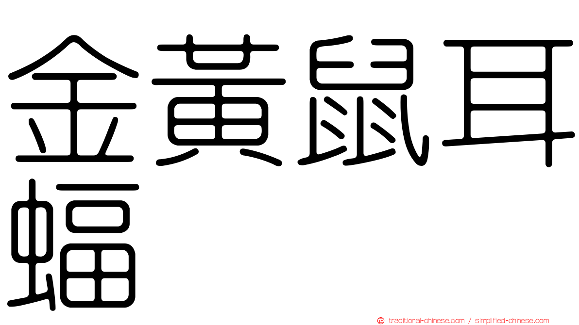 金黃鼠耳蝠