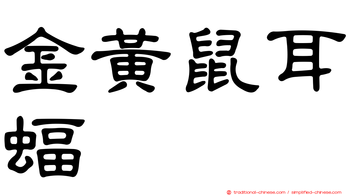 金黃鼠耳蝠