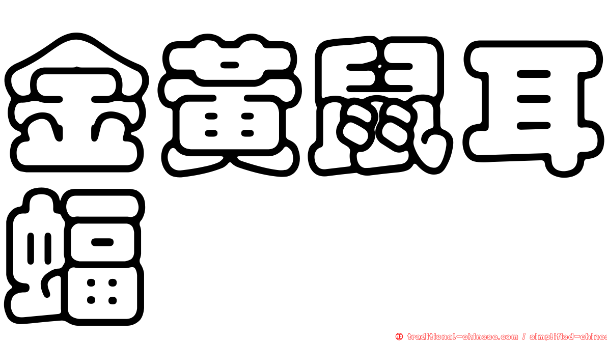 金黃鼠耳蝠