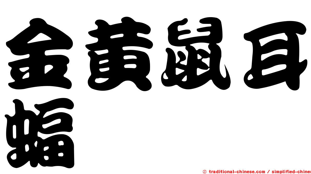 金黃鼠耳蝠