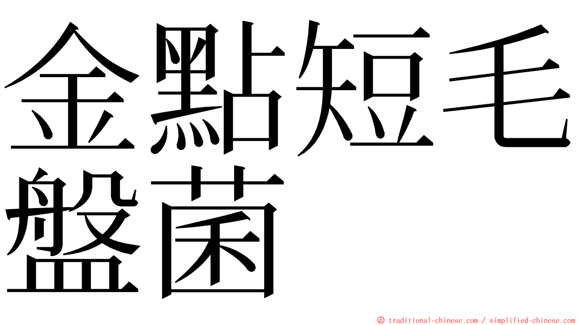 金點短毛盤菌 ming font