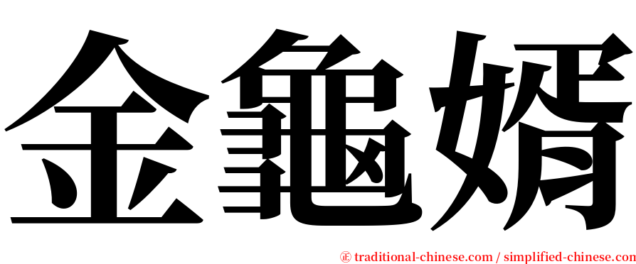 金龜婿 serif font