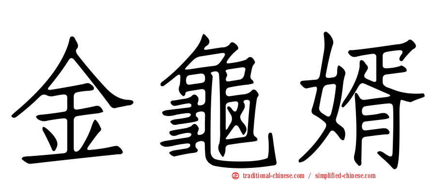 金龜婿