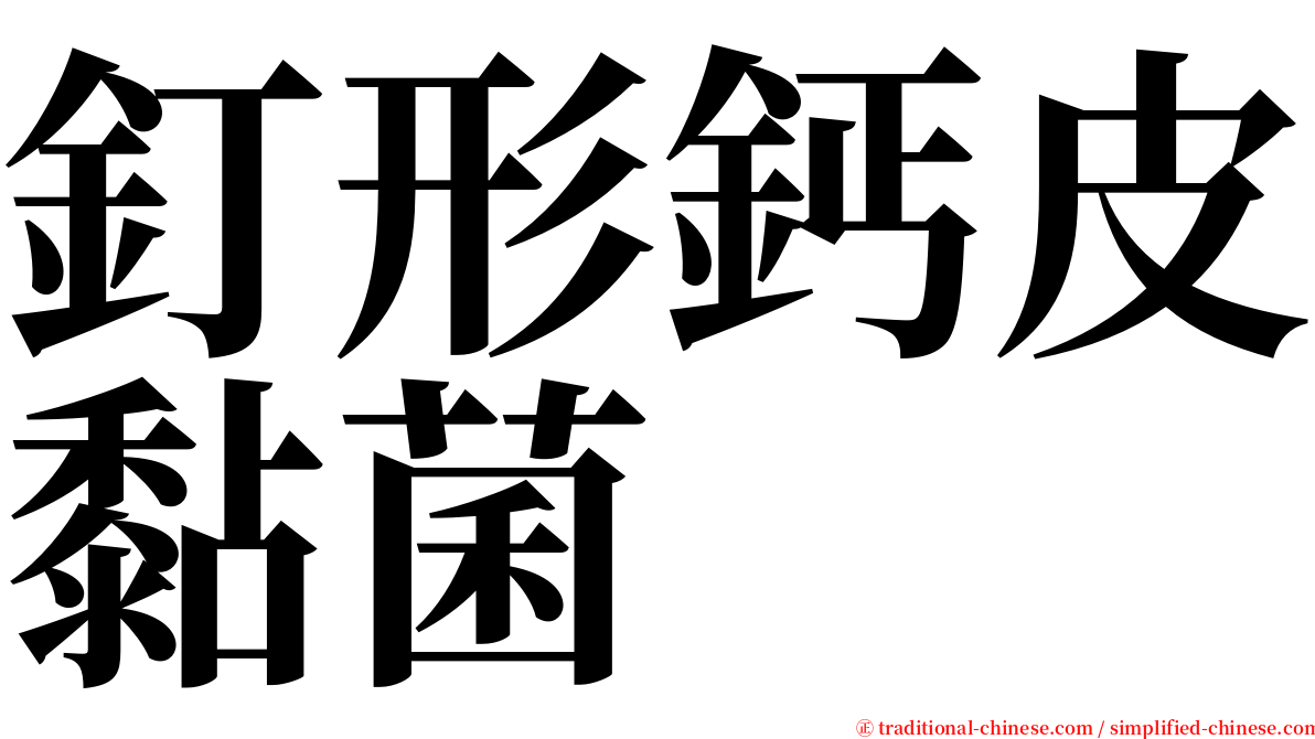 釘形鈣皮黏菌 serif font