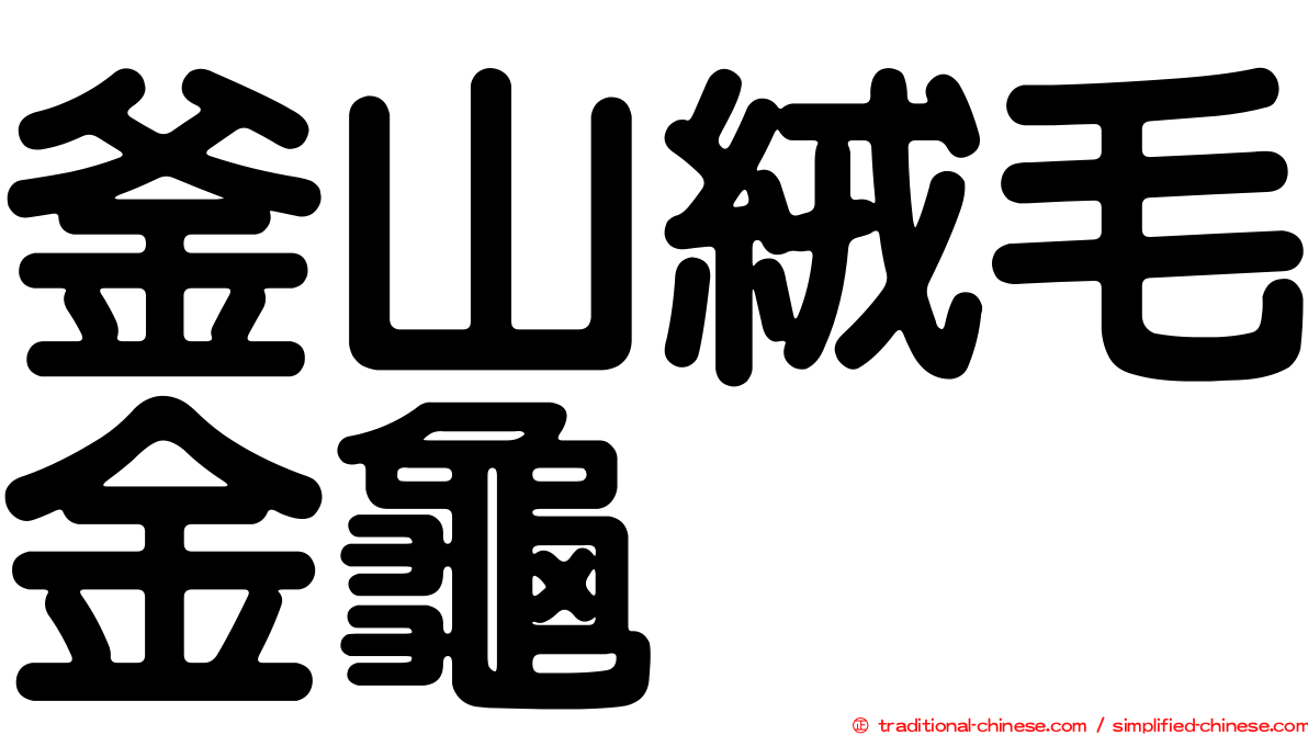 釜山絨毛金龜