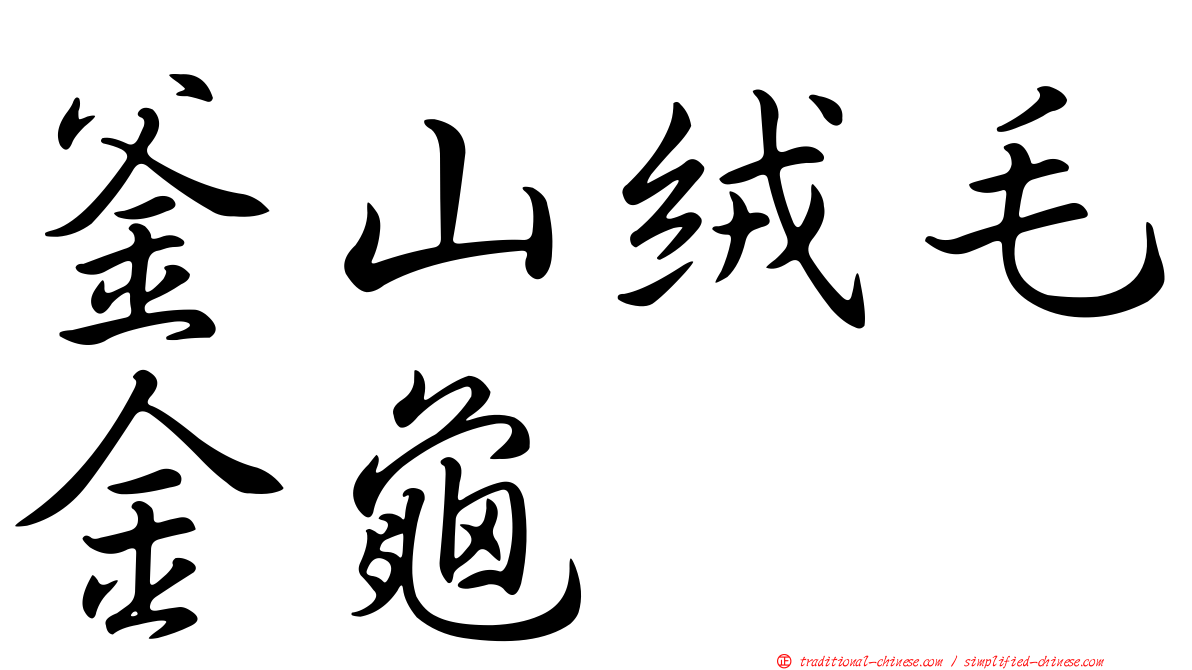 釜山絨毛金龜