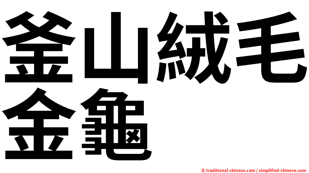 釜山絨毛金龜