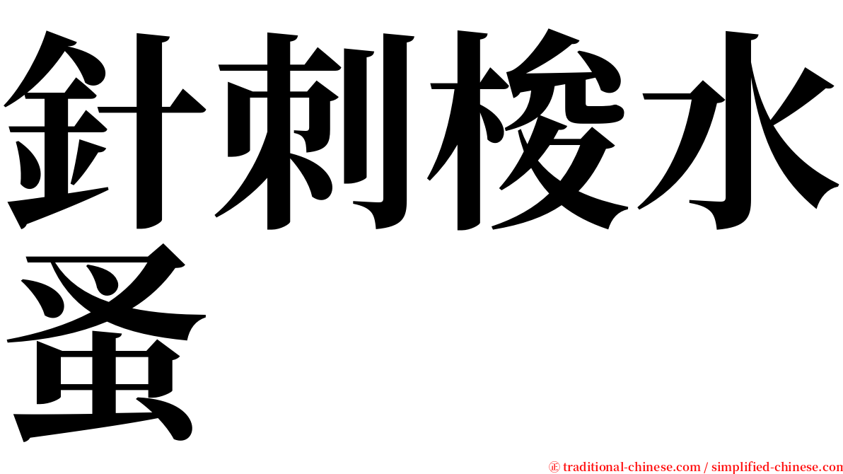 針刺梭水蚤 serif font