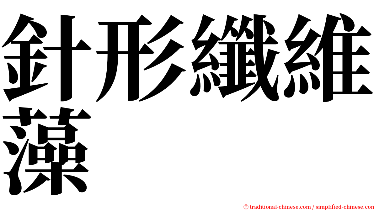 針形纖維藻 serif font