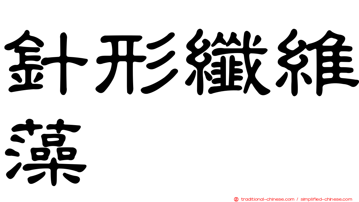 針形纖維藻