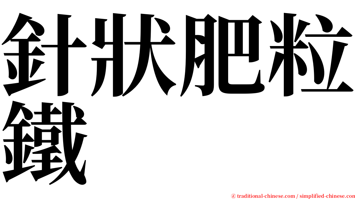 針狀肥粒鐵 serif font