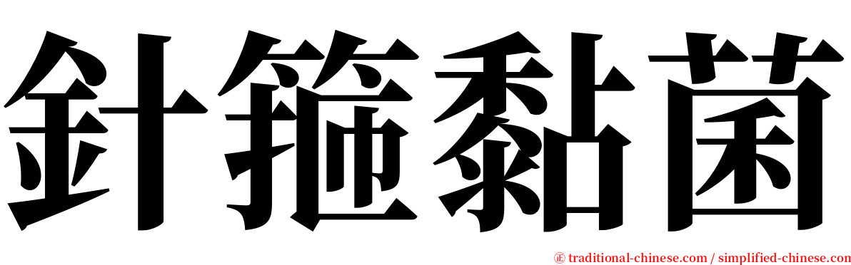 針箍黏菌 serif font