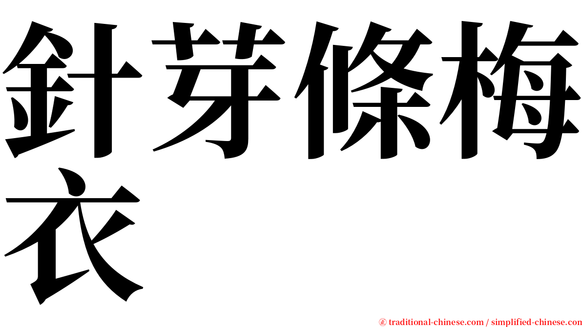 針芽條梅衣 serif font