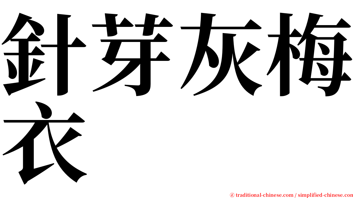 針芽灰梅衣 serif font