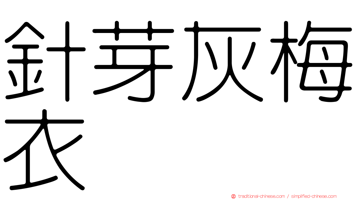 針芽灰梅衣