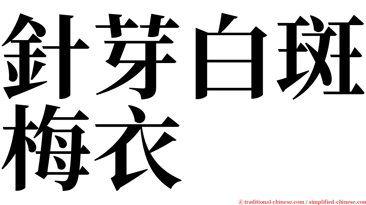 針芽白斑梅衣 serif font