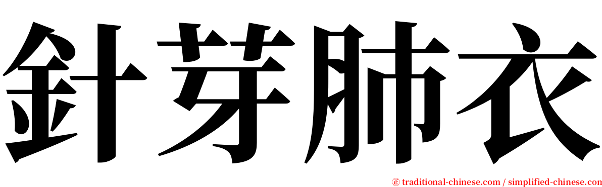 針芽肺衣 serif font