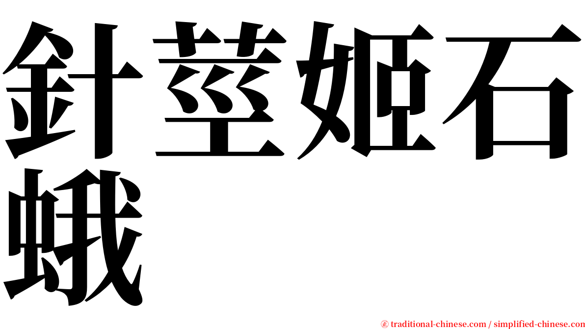 針莖姬石蛾 serif font