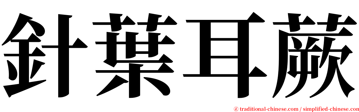 針葉耳蕨 serif font