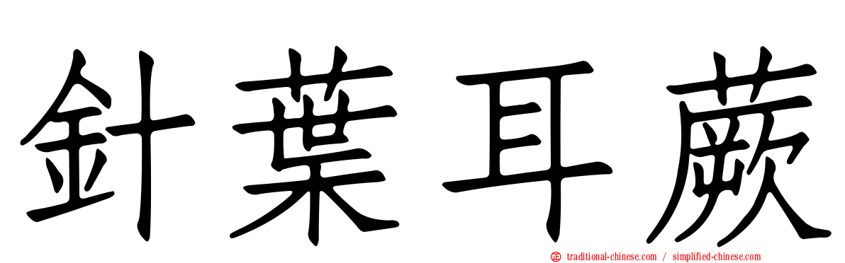 針葉耳蕨