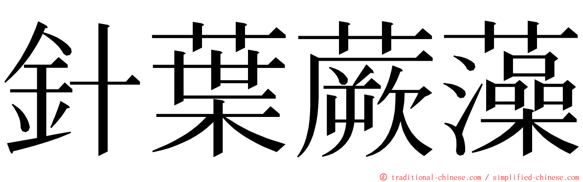 針葉蕨藻 ming font