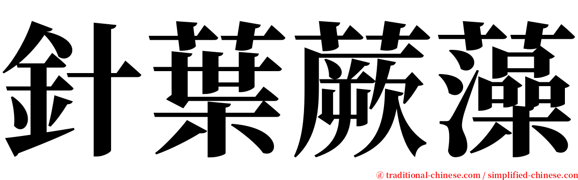 針葉蕨藻 serif font