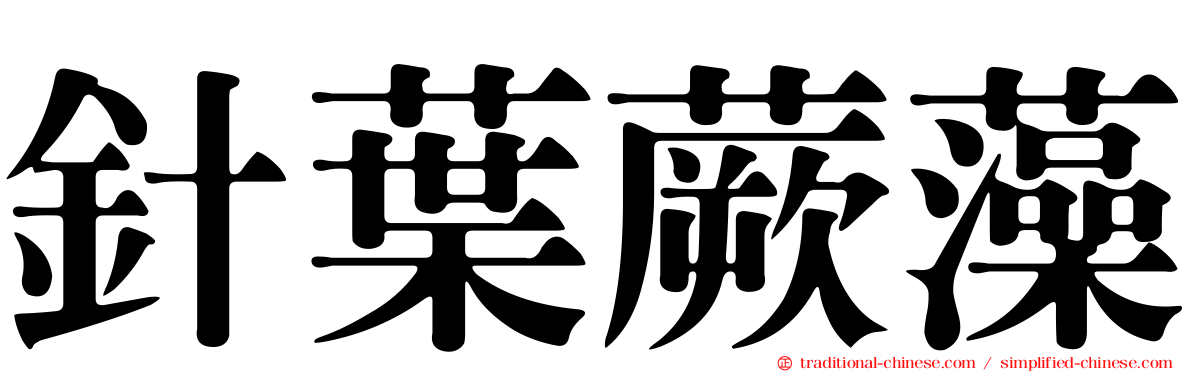 針葉蕨藻