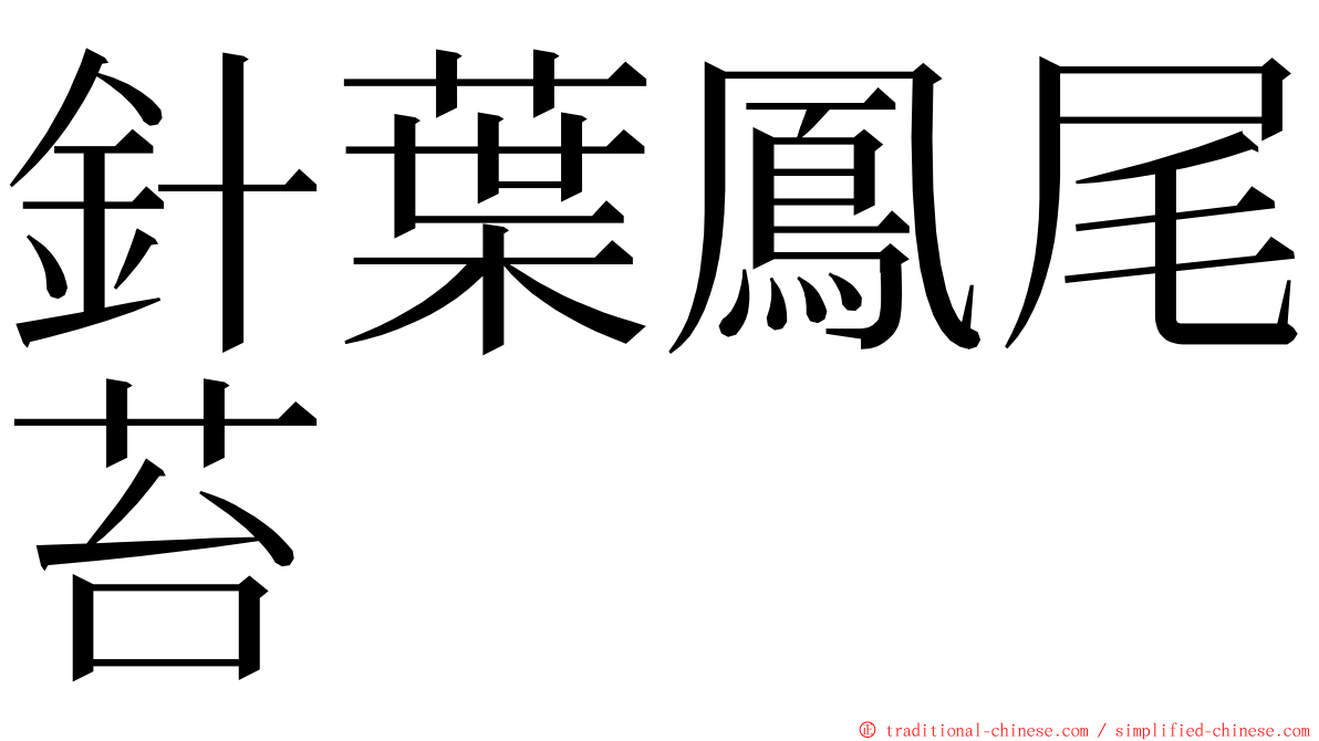 針葉鳳尾苔 ming font