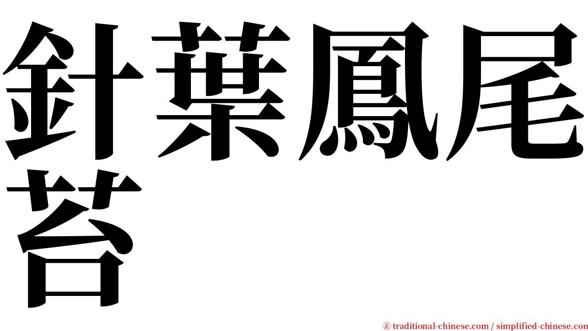 針葉鳳尾苔 serif font