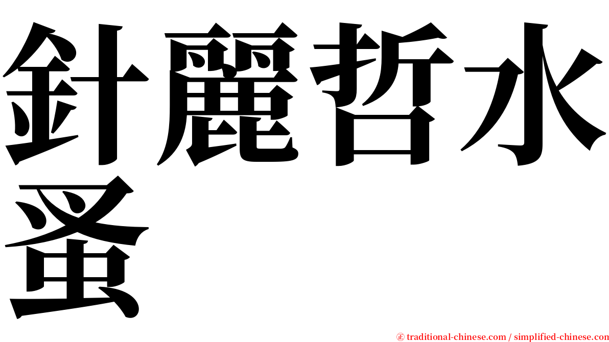 針麗哲水蚤 serif font