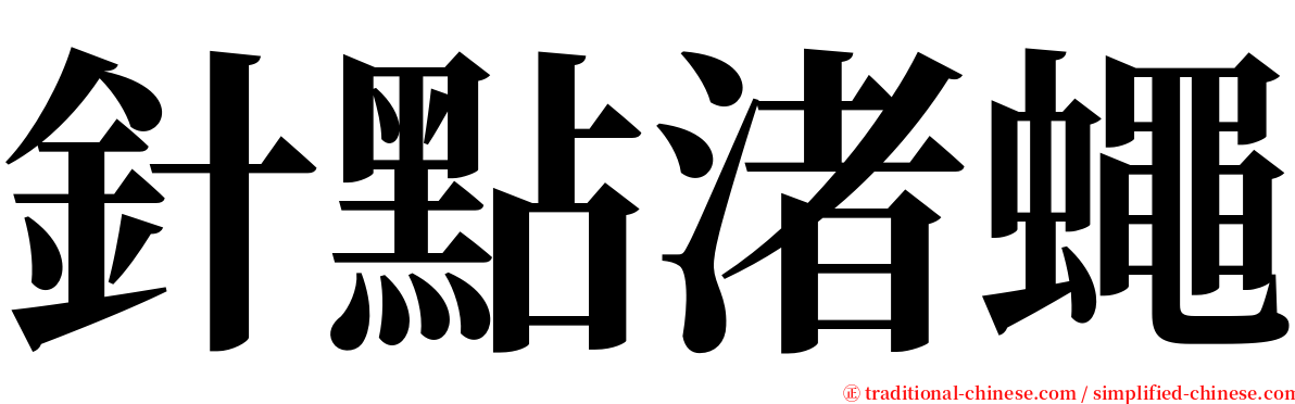 針點渚蠅 serif font