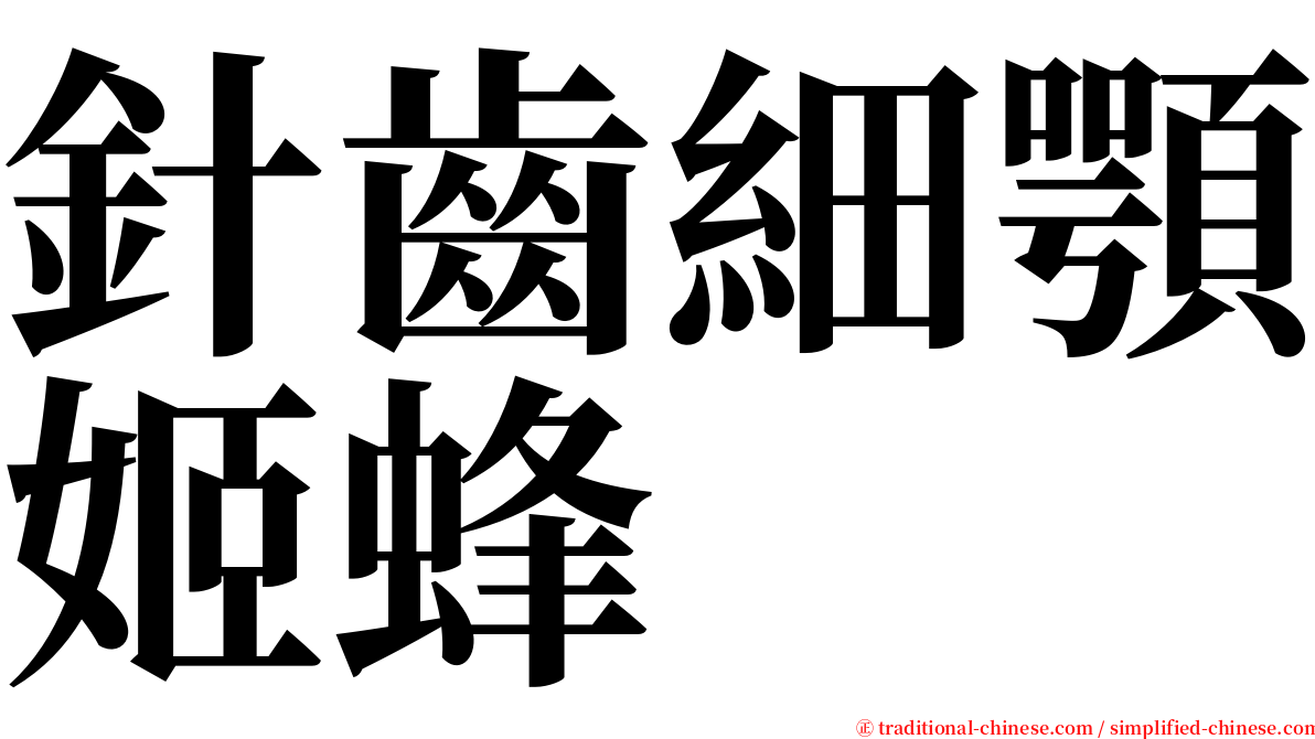 針齒細顎姬蜂 serif font