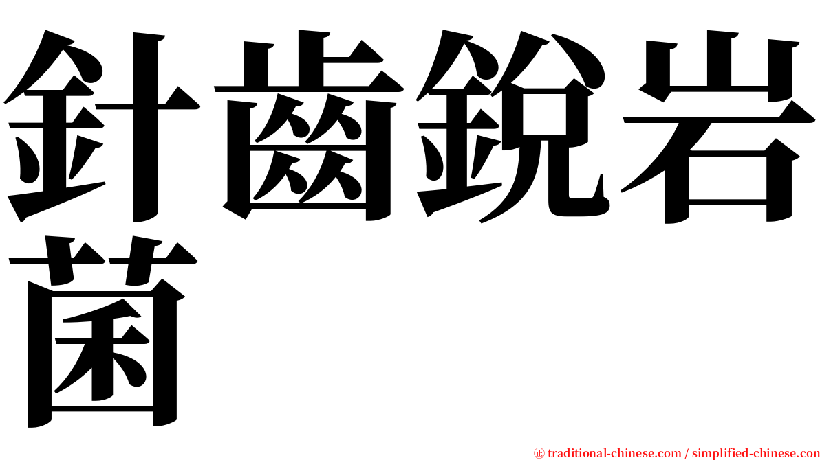 針齒銳岩菌 serif font