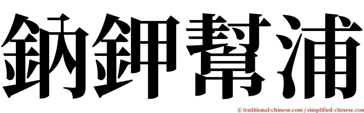 鈉鉀幫浦 serif font