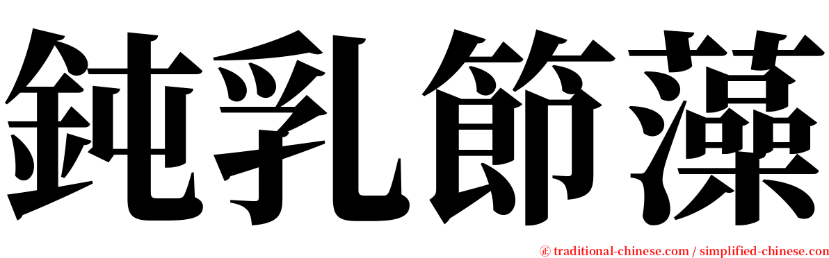 鈍乳節藻 serif font