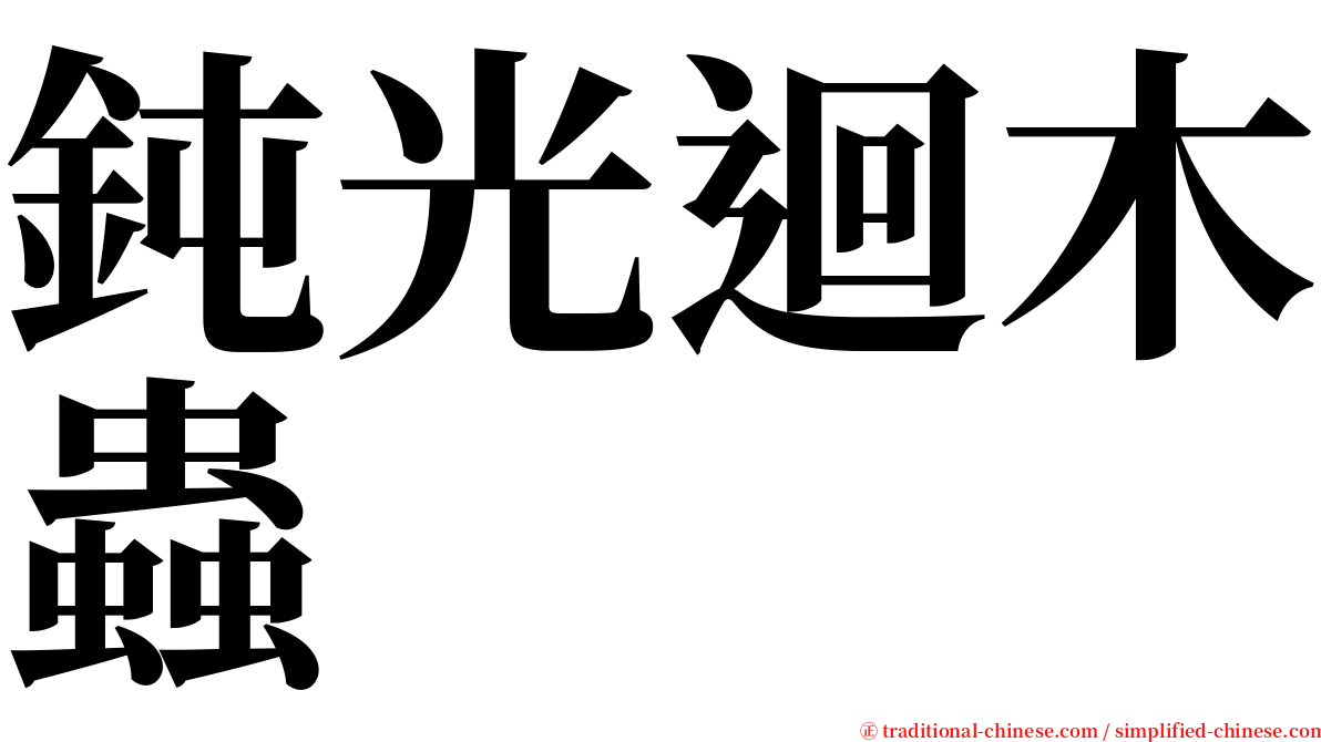 鈍光迴木蟲 serif font