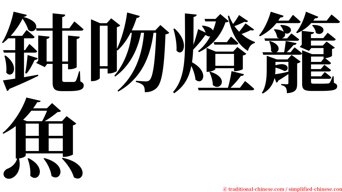 鈍吻燈籠魚 serif font