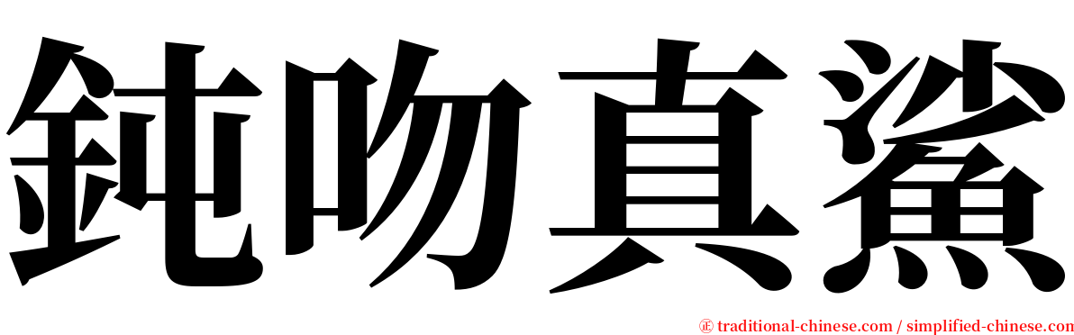 鈍吻真鯊 serif font