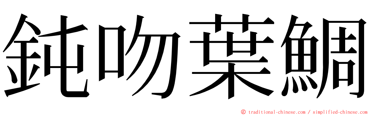 鈍吻葉鯛 ming font