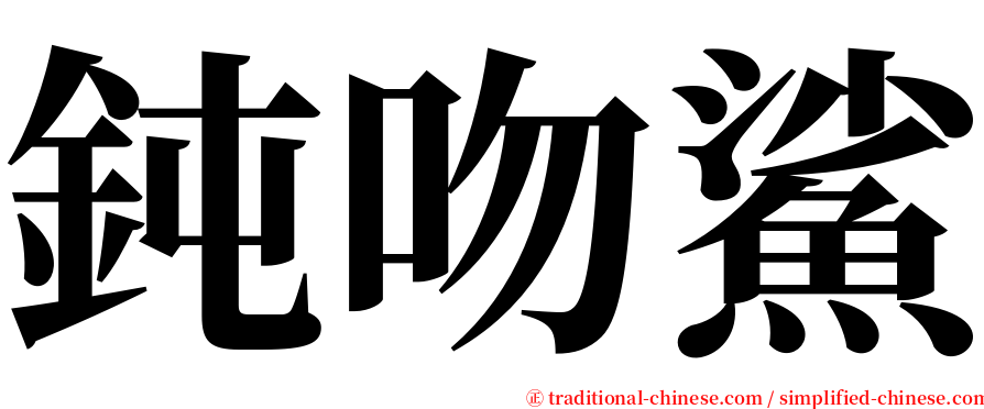 鈍吻鯊 serif font