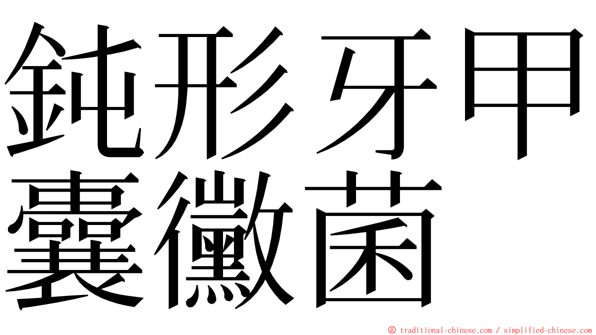 鈍形牙甲囊黴菌 ming font